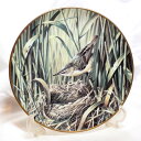 RSPB 100周年 セージワーブラー sedge warbler スゲヨシキリ 25,000枚 限定発行 ウェッジウッド WEDGWOOD イギリス 絵皿 ウ...