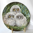 ショートイヤードオウル Short-eared Owl Chicks コミミズク 梟 絵皿 ウェッジウッド WEDGWOOD ふくろうの赤ちゃん ベビー オウル...