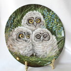 ショートイヤードオウル Short-eared Owl Chicks コミミズク 梟 絵皿 ウェッジウッド WEDGWOOD ふくろうの赤ちゃん ベビー オウル Baby Owl Collection デック トゥイニー画 イギリス ダンバリー ミント 飾り皿 【中古】