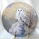 警戒 スノーイー アウル Snowy owl シロフクロウの絵皿 ウォッチフル インタールード ロイヤル ドルトン Royal Doulton Pollyanna Pickering ポリアンナ ピカリング画 イギリス オウル 【送料無料】【中古】