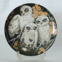 ブーブックアウル Boobook owl Chicks アオバズク プレート ウェッジウッド WEDGWOOD ベビー アウル 梟 絵皿 ふくろうの赤ちゃん B...