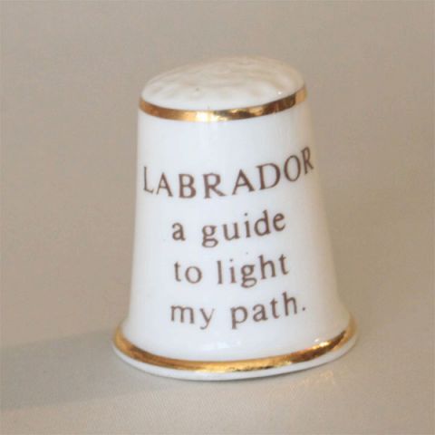 Aynsley ��֥�ɡ��� Labrador ��Ƴ�� �����󥺥쥤 �����ꥹ��̾�� �ɥå� Dog ����֥� �شӤ� ����� ������ �ץ쥼��� �������� ���쥯����� �����ƥ� ��ʪ ����� �ѥå���� ���ե� ������ơ��� ����š�