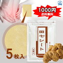 【1000円ポッキリ 送料無料】 田七シート 5枚入り 田七人参 湿布 田七人参シート 田七人参粉末配合シート 肩こり 腰痛 膝痛 捻挫 神経痛 日本製 お試し...