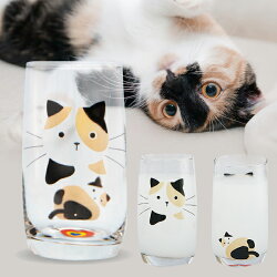 プレゼント付♪【猫グラス5種セット】猫好き必見!かわいい5匹の猫のグラスデザイングラス350ml×5種類猫コップ5個ねこコップネココップねこグラスネコグラス猫ねこネコデザイングラスコップ猫のコップ(3980円以上で送料無料)