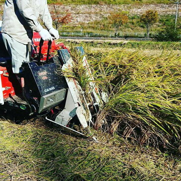 平成29年産新米岡山県産岡山玄米　20キロ