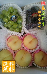 【予約販売】岡山の桃、ぶどう詰め合わせ【ご進物・贈答用フルーツ】※8月中旬予定入荷次第順次発送。