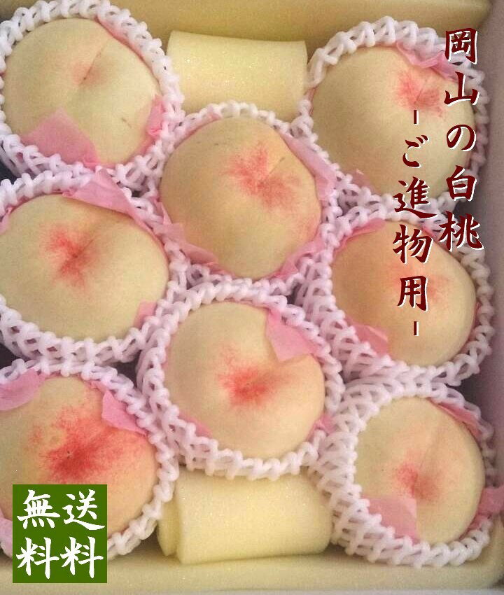 【予約販売】岡山白桃 2kg箱詰 ご進物用 6〜8個 【ご進物・贈答用・お中元フルーツ】7月上旬~中旬頃よりお届け