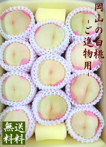 【予約販売】岡山白桃 3kg箱詰 ご進物用 9〜11個【ご進物・贈答用・お中元フルーツ】7月上旬~中旬頃より入荷次第順次発送 【予約販売】岡山白桃 3kg箱詰 ご進物用 9〜11個【ご進物・贈答用・お中元フルーツ】7月上旬~中旬頃より入荷次第順次発送