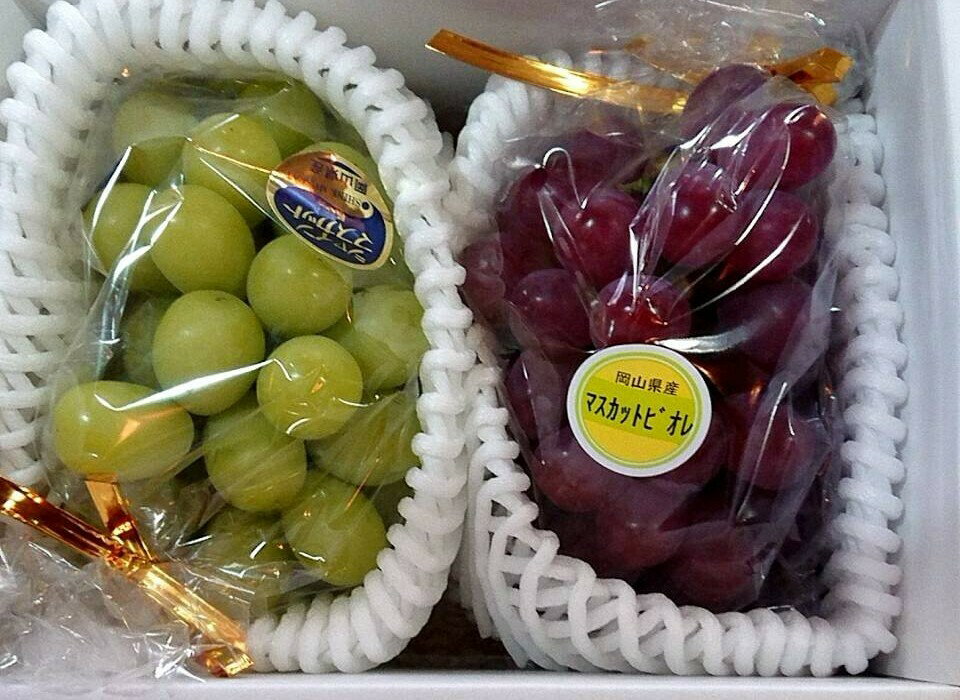 Sale 84 Off ご家庭用お試し品ぜひ岡山のぶどうをご賞味ください 岡山ぶどう ブドウお試し2房入 Beacondinernj Com
