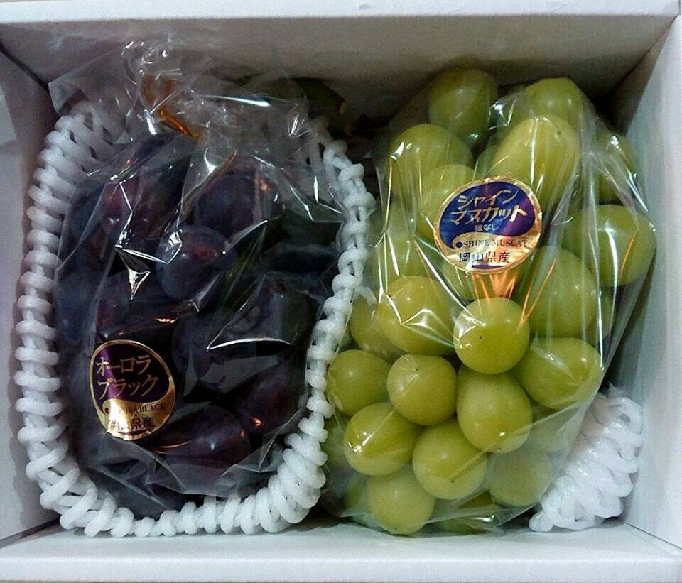 Sale 84 Off ご家庭用お試し品ぜひ岡山のぶどうをご賞味ください 岡山ぶどう ブドウお試し2房入 Beacondinernj Com