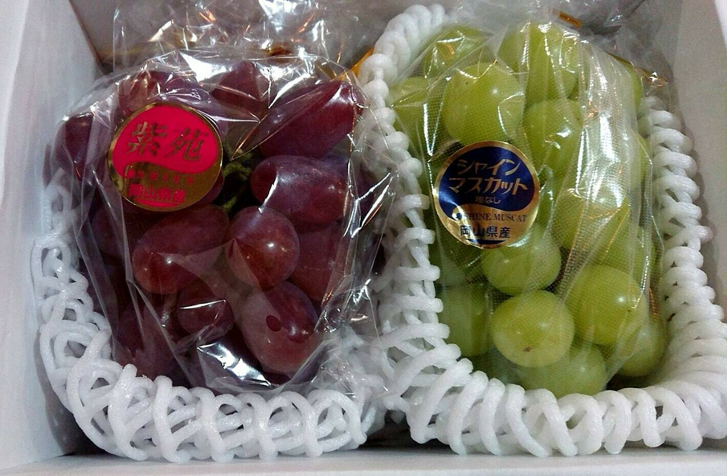 Sale 84 Off ご家庭用お試し品ぜひ岡山のぶどうをご賞味ください 岡山ぶどう ブドウお試し2房入 Beacondinernj Com