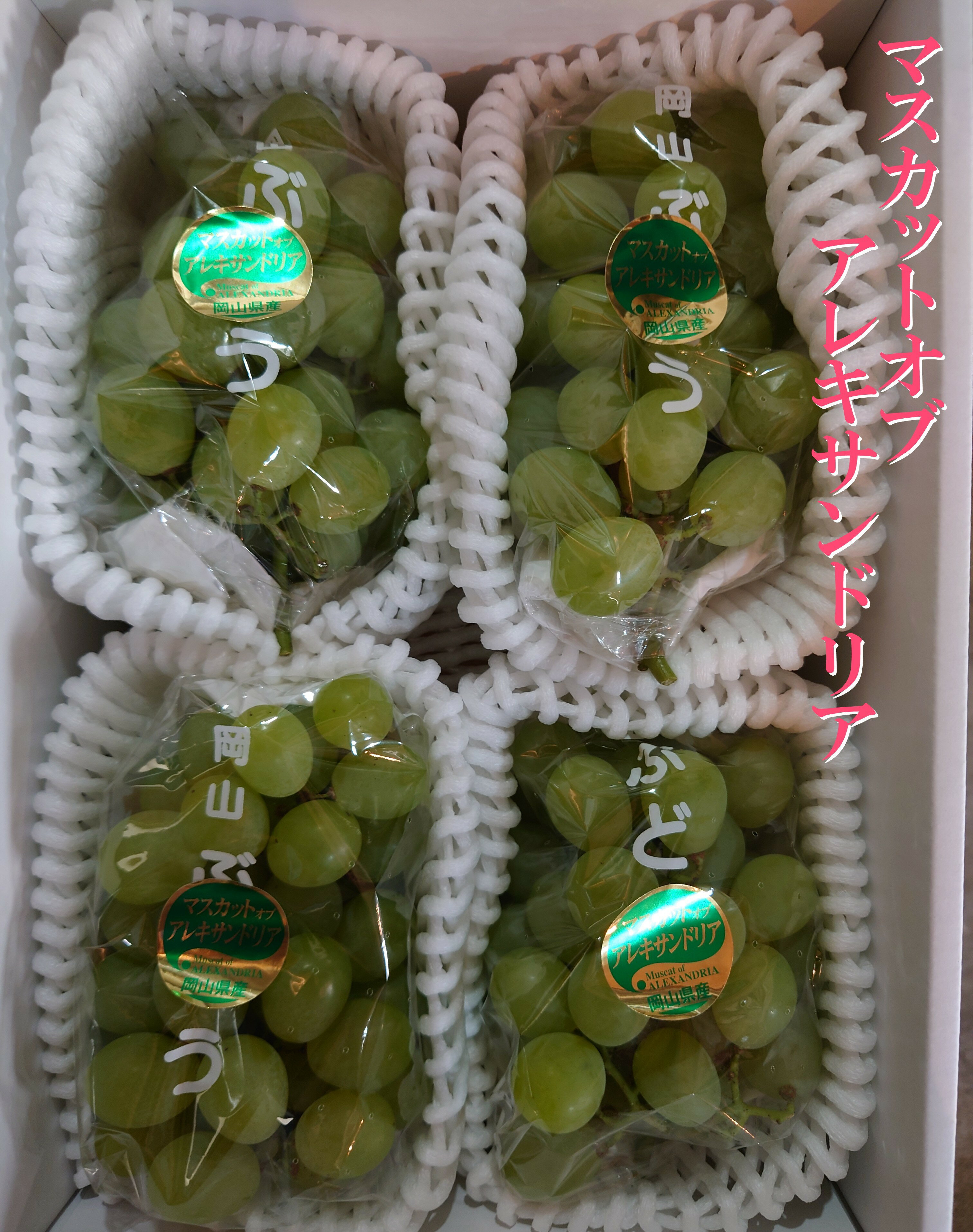 https://thumbnail.image.rakuten.co.jp/@0_mall/mayakami/cabinet/compass1749458963.jpg