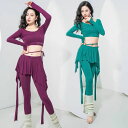 大人ベリーダンス衣装 トップスショート丈 長袖 パンツ レギンススカーフ付き セクシー 大人用ダンス衣装 レディース エレガント スレッスン着 競技着 おしゃれ...