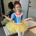 女の子バレエダンス衣装 団体服 ワンピース キッズバレエダンス衣装 可愛い レオタード 女の子ダンス衣装 半袖 チュチュスカート バレエチュチュワンピース キッズダンス普段着 可愛いダンス衣装 ダンス衣装 団体服 舞台演出服 運動会110-180cm