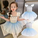 女の子バレエダンス衣装 団体服 ワンピース キッズバレエダンス衣装 可愛い レオタード 女の子ダンス衣装 半袖 チュチュスカート バレエチュチュワンピース キッズダンス普段着 可愛いダンス衣装 ダンス衣装 団体服 舞台演出服 運動会110-180cm