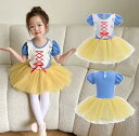 プリンセンスワンピース バレエレオタード コスプレ女の子バレエダンス衣装 団体服 可愛い レオタード 女の子ダンス衣装 半袖チュチュスカート バレエチュチュワンピース キッズダンス普段着 可愛いダンス衣装 ダンス衣装 団体服 舞台演出服運動会110-180cm