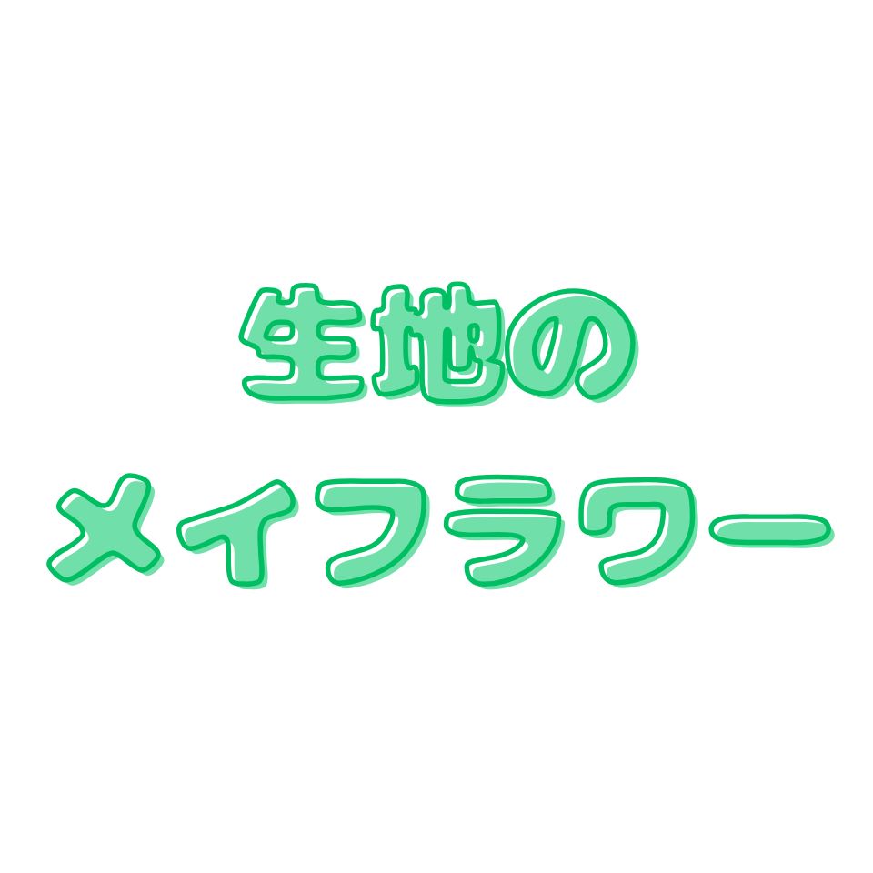 生地のメイフラワー