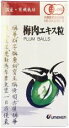 【2個セット】ウメケン　有機・梅肉エキス　粒90g 国内産・有機青梅の搾り汁をじっくり煮詰め、濃縮したエキスと米粉を練り、丸粒に仕上げています。 原材料：有機梅エキス(国内製造)、有機米粉、有機籾米焙煎末 ☆有機JAS認定商品（有機農業認証協会）です。 ☆国内産有機栽培の、大粒で良質な青梅果肉の搾り汁だけをじっくり煮詰めた梅エキスと、有機栽培の米粉を 練り、召し上がりやすい丸粒に仕上げました。 ☆梅エキスは活き活きした健康生活に役立つ成分が豊富な食品です。 ☆90g＝約600粒 小型宅配便発送の為、時間指定不可です。 ★楽天市場のシステム上、「追跡メール便（ポスト投函）」と表示されますが「小型宅配便（レターパックプラス）」での発送ですので、押印必要な手渡しの宅配便となります★【2個セット】ウメケン　有機・梅肉エキス　粒90g