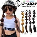 キャンディーヘア カラーエクステ フィッシュボーンエクステ ゴムタイプ 簡単 便利 女の子 子供 キッズ ガールズ ウイッグ ドレッド ピンク ブラウン ダーク...