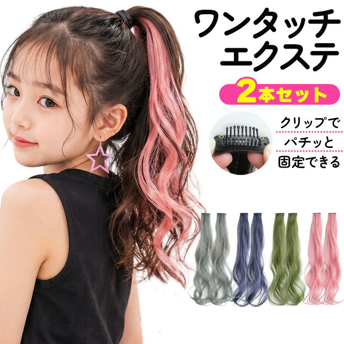2本セット ポイントエクステ ロング カール ウェーブ ワンタッチエクステ クリップ 簡単 ヘアアレ ...