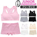 【訳あり】ジュニア向け インナーセット スポーツブラとボクサーパンツの2点セット カップ付き 女の子 子供用下着 無地 ホワイト グレー ブラック フリーサイズ...