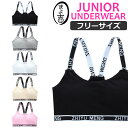 【訳あり】ジュニア向け スポーツブラ カップ付き 女の子 子供用下着 肌着 145cm~155cm 12才~14才 キッズ 肩ひもロゴ ロゴテープ 無地 ピンク...