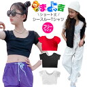 シースルー 半袖 Tシャツ ミニ丈 フリーサイズ 無地 ホワイト ブラック レッド メッシュ 半そでシャツ 透け感 肌見せ 重ね着 薄手 シアー 海 プール ダ...