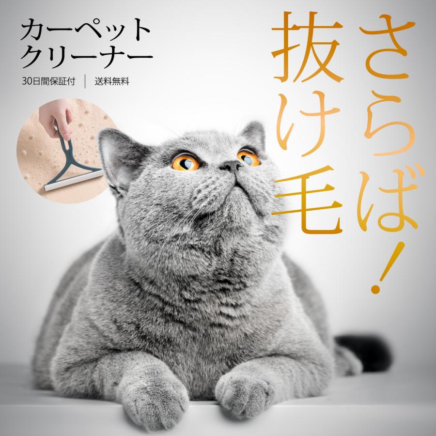 ペットブラシ 猫 犬 抜け毛 カーペットクリーナー 毛玉取りグルーミング スリッカ...