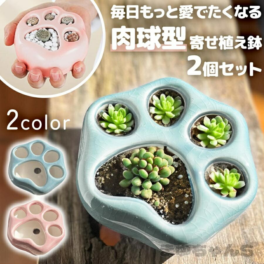 Rakuten - 肉球 多肉植物 寄せ植え 鉢 2個セット 多肉植物 寄せ植え 鉢 猫 肉球 可愛い ピンク ブルー インテリア グリーン 観葉植物 苔 ミニサイズ