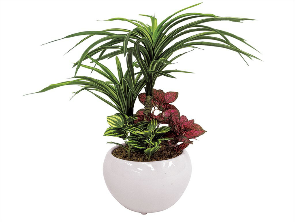 Rakuten - SC触媒加工 トロピカル寄せ植えポットユッカ（フェイクグリーン） FG1001