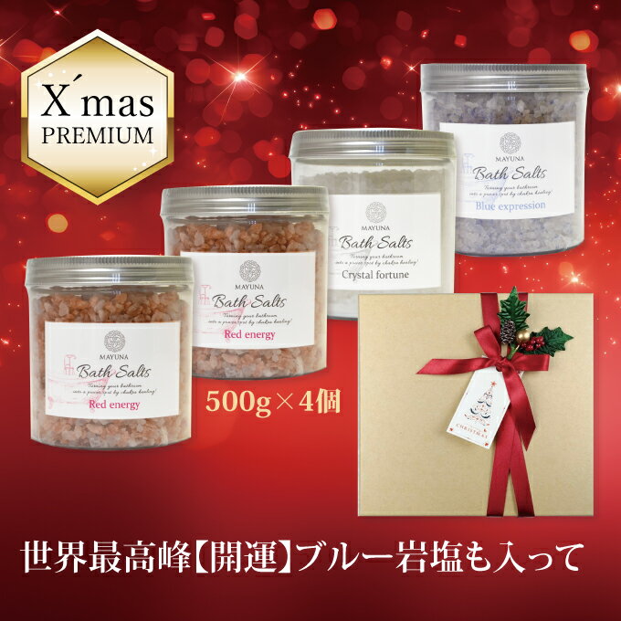 xmasաۥꥹޥ ե Х ʡ 4 å å ꥹ ֥롼 500g ץ  Х  ե ̵ź ̵忧...