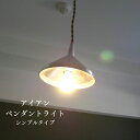 ペンダントライト 天井照明 照明器具 北欧 ダイニング 大正ロマン 吊り下げ 1灯 LED 天井 間接 シンプル スチール ライト カフェ キッチン リビング ...