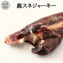 【サンライズ】ゴン太のほねっこ シニア Sサイズ 230g ☆ペット用品 ※お取り寄せ商品【賞味期限：3ヵ月以上】【RCP】