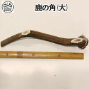 【送料無料 】令和7年1月獲れ!ペット犬用_鹿の角/ツノ(大) 大型犬用 天然鹿角/解体採取 30cm 1本