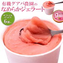 有機グアバ農園のなめらかジェラート 100ml×6個 敬老の日 果物 フルーツ グアバ ジェラート 送料無料 ビタミンC デザート スイーツ アイス 甘い 美味...