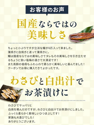 うなぎ 国産 送料無料 訳あり 自宅用 鰻 ウナギ 白焼き 食べ比べ 冷凍 海産物 ご当地グルメ 誕生日 内祝い プレゼント 贅沢 晩酌 産地直送 目安:4~5人前 高知県産西岡うなぎ蒲焼・白焼 400g うなぎ 4人前 ギフト 食べきりやすい 高齢者 うなぎ 白焼き 国産 うな重 不揃い - Image 3