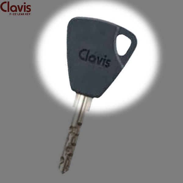 Clavis(クラビス) LEADシステム用樹脂キャップ（ICチップ別売り）