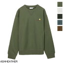 カーハート トレーナー メンズ カーハート ワークインプログレス Carhartt WIP スウェット メンズ i025475 1nqxx plant AMERICAN SCRIPT SWEAT【返品送料無料】【ラッピング無料】[2024SS]