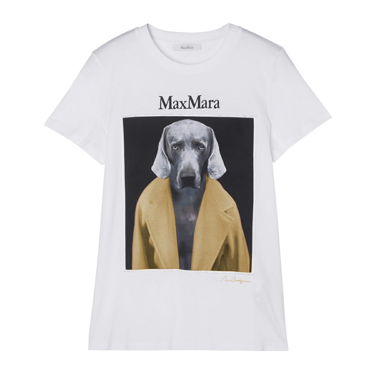 楽天市場】マックスマーラ tシャツ(サイズ(S/M/L)M)の通販 楽天市場】マックスマーラ tシャツ(サイズ(S/M/L)M)の通販
