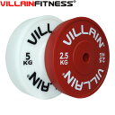 VILLAIN（ヴィラン）テクニックプレート 2.5kg　2枚セット　オリンピックシャフト用プレート　筋トレ　本格トレーニング　トレーニング器具　商用グレード