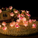 イルミネーションライト 桜の花 LED 電池式 3m 30球 点滅/点灯 防水防塵仕様 フェアリーライト 屋外/屋内/室内/ガーデンライト 正月/クリスマス用ライト 祝日 結婚式 誕生日 クリスマス装飾(3)