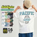 【送料無料】キッズ Tシャツ BIGサイズ カレッジロゴ バックプリント 半袖 Tシャツ オーバーサイズ ゆったり 子供服 天竺 はん袖 男の子 女の子 こども服 SHISKY シスキー 韓国ファッション 523-107 110cm 120cm 130cm 140cm 150cm 160cm