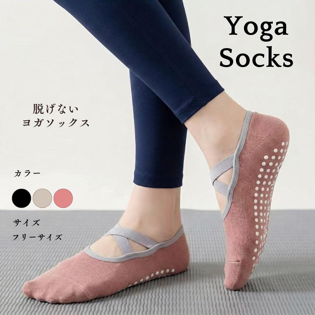 �襬���å��� ���ߤ� ��ǥ����� �襬������ �襬 ���� �ԥ�ƥ��� �ۥåȥ襬 �ȥ졼�˥� ���ȥ�å� ����ʤ� æ���ʤ� ���� �ɽ� �ⵡǽ 3��