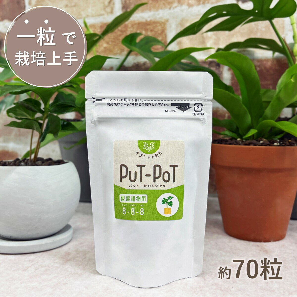 【観葉植物肥料】PuT-PoT 置き肥 約70