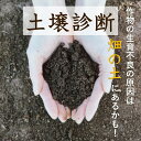 【土壌診断】 畑の健康診断 土壌分析 土壌検査 土壌測定 家庭菜園 畑 土 キット肥料 石灰 pH EC