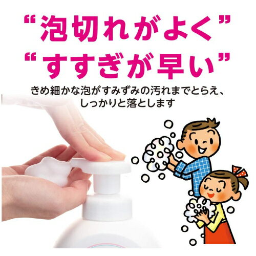 薬用 泡ハンドソープ つめかえ用 ボトル入り 800ml(医薬部外品)【ビオレ】大容量 手指 手 消毒 ウイルス ウィルス 薬用 アルコール ばい菌 細菌 除菌 殺菌