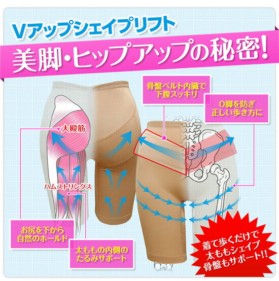 【即納】【Vアップシェイプリフト】 ◆正規品・...の紹介画像2