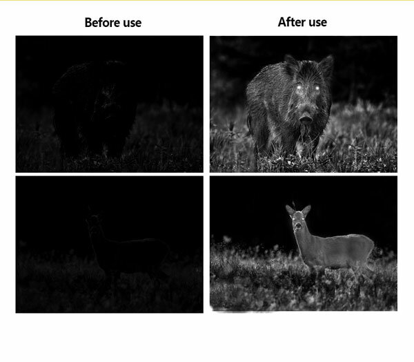 �ֳ����Ż륹������ ������̵����1ǯ�ݾڡۡڥ���饫 �Ż륹������DX AS-C01�� Ͽ�� ư�軣�� �̿����� ����4�ܥ����� �ǥ�����8�ܥ�����