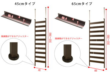 ＼ページ限定・マジッククロス付／　【送料無料】【幅65cm】突っ張り棒　壁面収納ラック ［棚板2枚付き　NEWラダーラック］