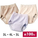 【即納】女性用吸水ショーツ 大きいサイズ 3L 4L 5L 【送料無料】【爽やかたっぷり吸収ショーツ3色組 3L〜5L】 尿漏れショーツ 介護ショーツ レディー...